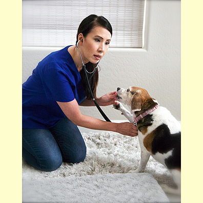 Pet Picture